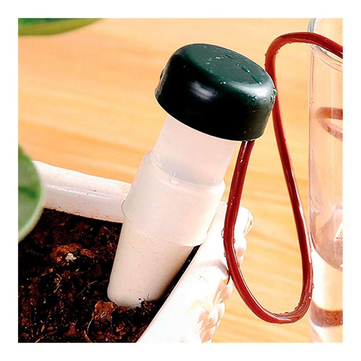 Automatisk drypp vanningssystem for plantepotter Aqua Control